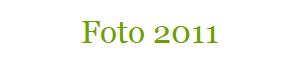 Foto 2011