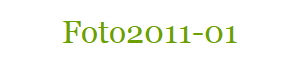 Foto2011-01