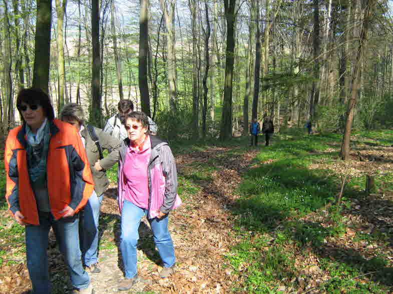 Behrensen und Umgebung