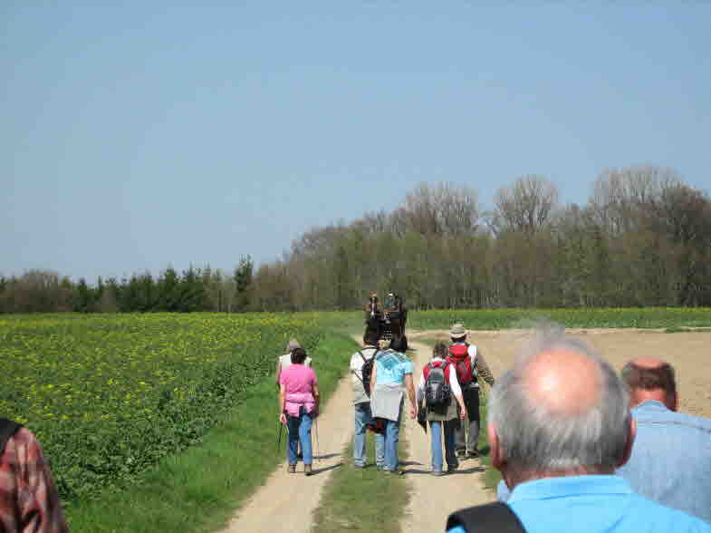 Behrensen und Umgebung