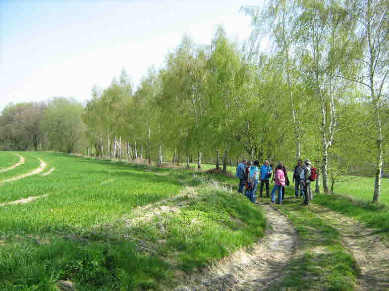 Behrensen und Umgebung