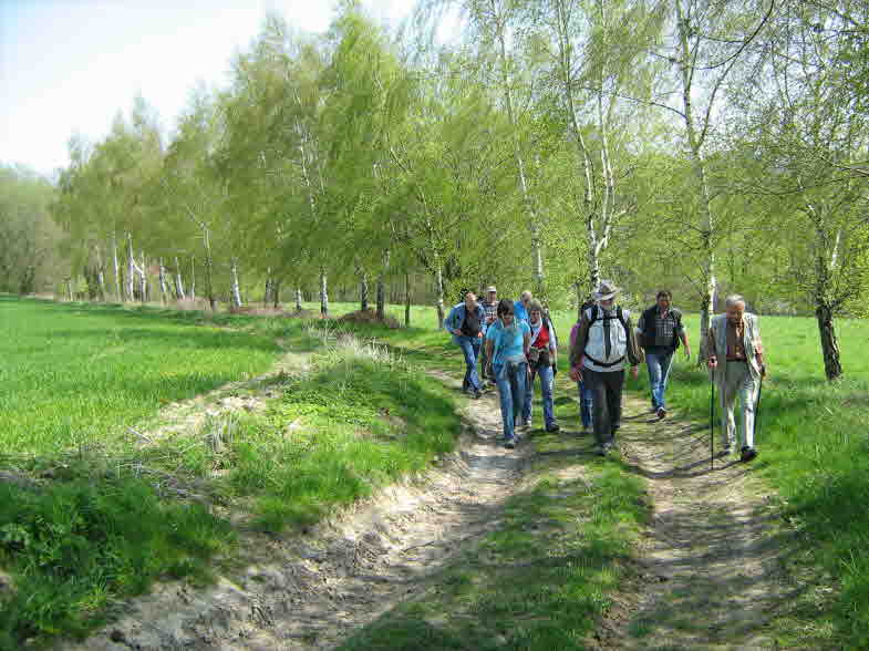 Behrensen und Umgebung